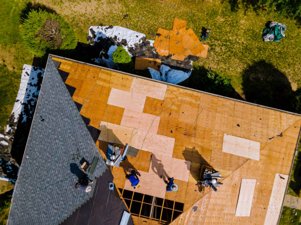 Gutter Installation and Roofing in Alice, TX
